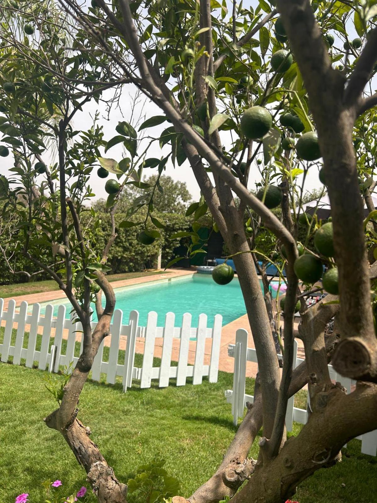 Villa Orangeraie Agadir Exterior foto